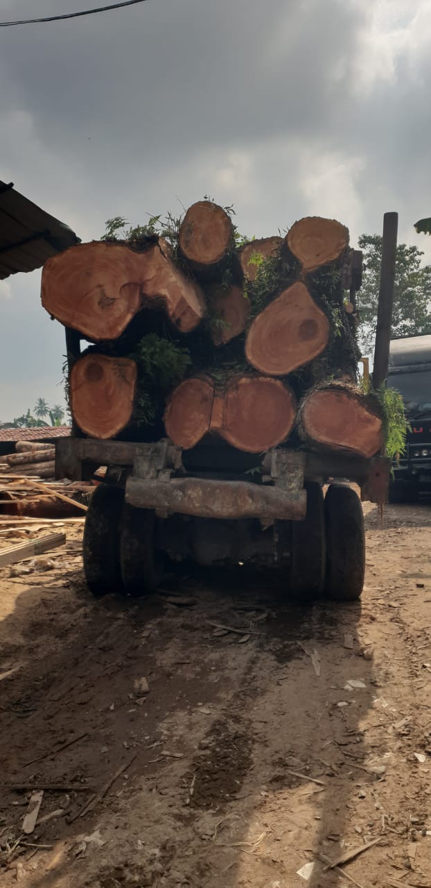Truk Kayu